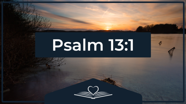 Psalm 13:1