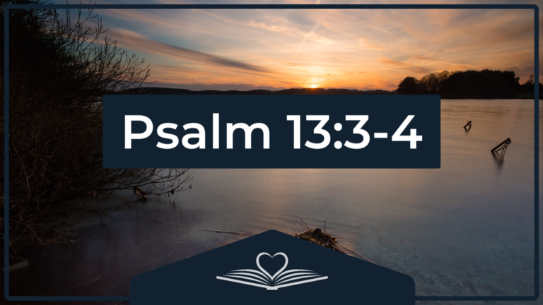 Psalm 13:3-4 NRSV