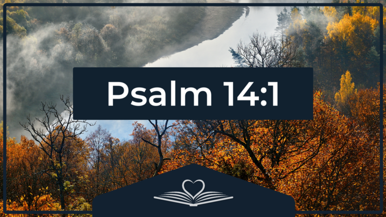 Psalm 14:1 NRSV