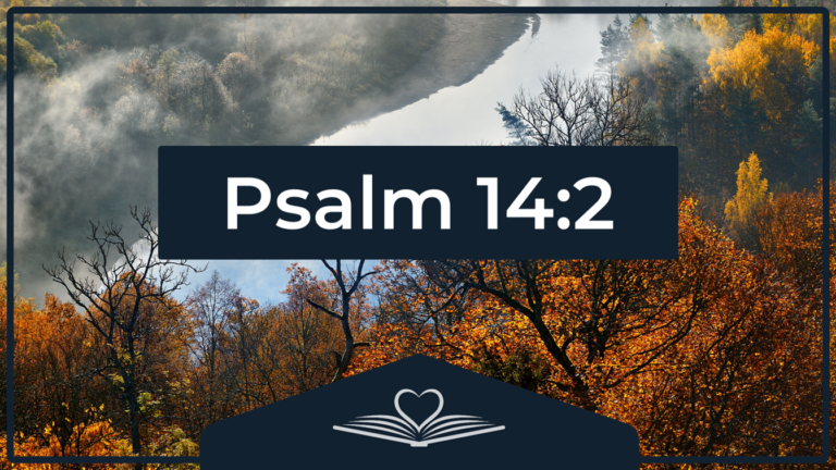 Psalm 14:2 NRSV