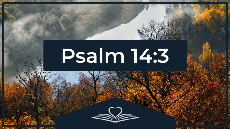 Psalm 14:3 NRSV