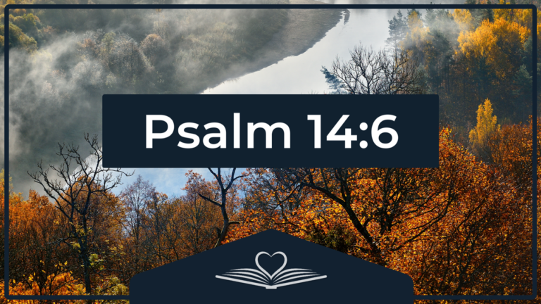 Psalm 14:6 NRSV