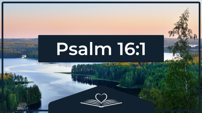 Psalm 16:1 NRSV