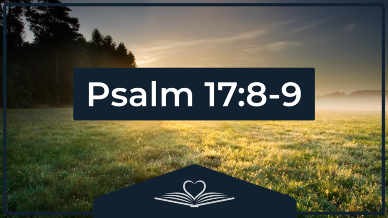 Psalm 17:8-9 NRSV