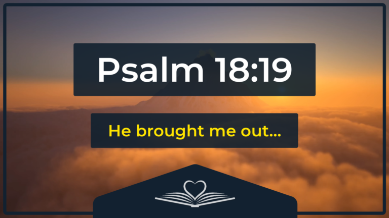 Psalm 18:19 NRSV