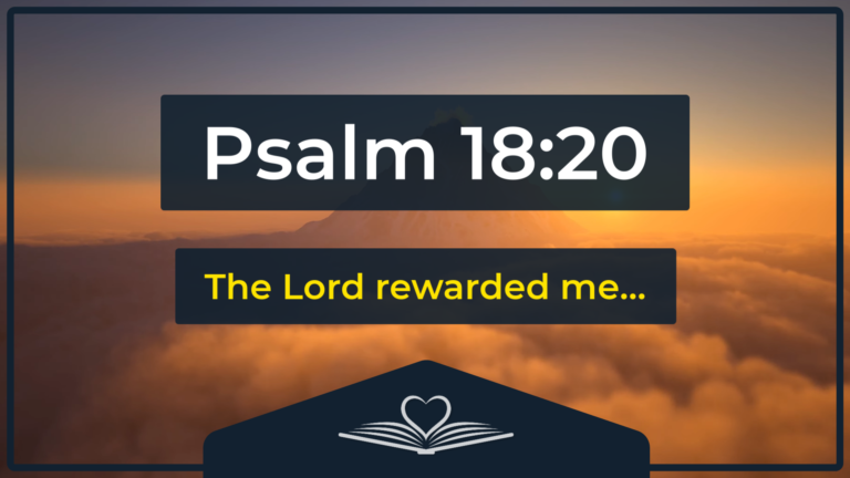 Psalm 18:20 NRSV