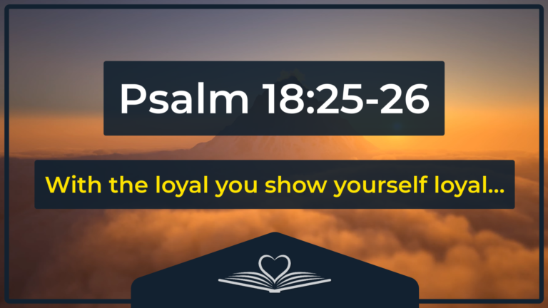 Psalm 18:25-26 NRSV